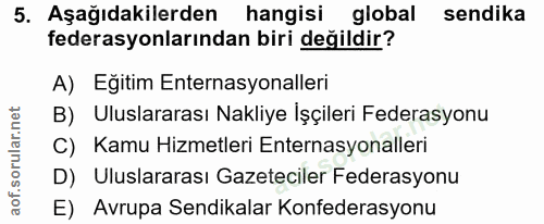 5. soru: Aşağıdakilerden hangisi global sendika federasyonlarından biri değildir? A) Egitim Enternasyonalleri B) Uluslararası…
