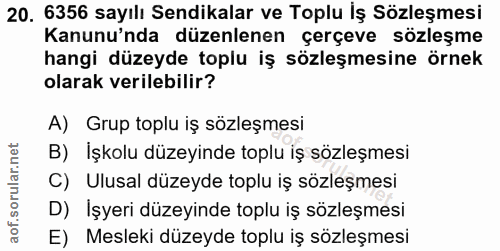 20. soru: 6356 sayılı Sendikalar ve Toplu İş Sözleşmesi Kanunu'nda düzenlenen çerçeve sözleşme hangi düzeyde toplu iş sözleşmes…