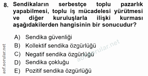 8. soru: Sendikaların serbestçe toplu pazarlık yapabilmesi, toplu iş mücadelesi yürütmesi ve diğer kuruluşlarla ilişki kurması…