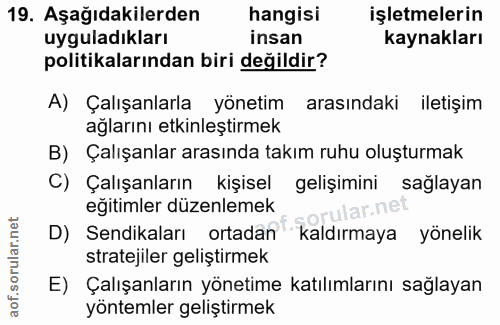 19. soru: Aşağıdakilerden hangisi işletmelerin uyguladıkları insan kaynakları politikalarından biri değildir? A) Çalışanlarla y…