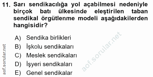 11. soru: Sarı sendikacılığa yol açabilmesi nedeniyle birçok batı ülkesinde eleştirilen taban sendikal örgütlenme modeli aşağıd…