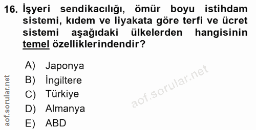 16. soru: İşyeri sendikacılığı, ömür boyu istindam sistemi, kıdem ve liyakata göre terfi ve ücret sistemi aşağıdaki ülkelerden…