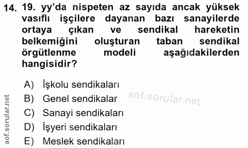 14. soru: 19. yy'da nispeten az sayıda ancak yüksek vasıflı işçilere dayanan bazı sanayilerde ortaya çıkan ve sendikal hareketi…