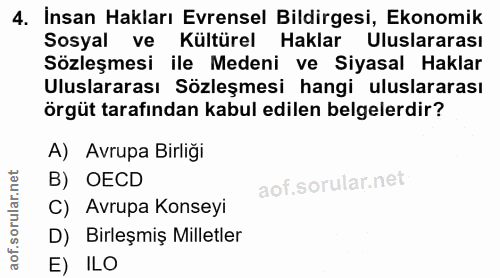 4. soru: İnsan Hakları Evrensel Bildirgesi, Ekonomik Sosyal ve Kültürel Haklar Uluslararası Sözleşmesi ile Medeni ve Siyasal H…