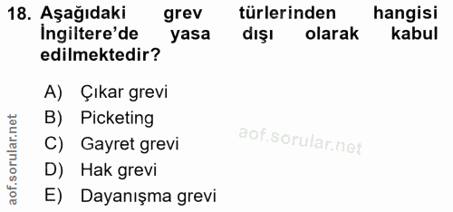 18. soru: Aşağıdaki grev türlerinden hangisi Ingiltere'de yasa dışı olarak kabul edilmektedir? A) Çıkar grevi B) Picketing C) G…