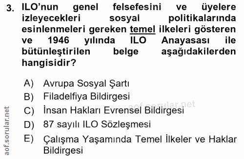 3. soru: ILO'nun genel felsefesini ve üyelere izleyecekleri sosyal politikalarında esinlenmeleri gereken temel ilkeleri göster…