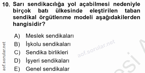 10. soru: Sarı sendikacılığa yol açabilmesi nedeniyle birçok batı ülkesinde eleştirilen taban sendikal örgütlenme modeli aşağıd…
