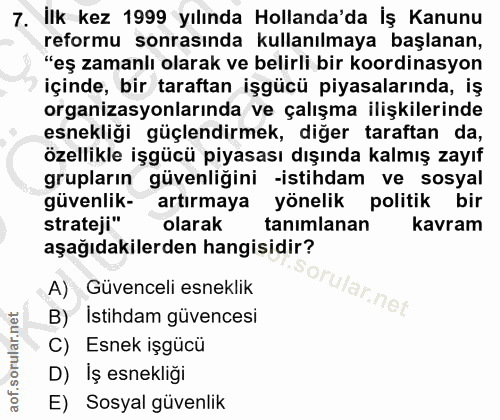7. soru: İlk kez 1999 yılında Hollanda'da İş Kanunu reformu sonrasında kullanılmaya başlanan, "eş zamanlı olarak ve belirli bi…