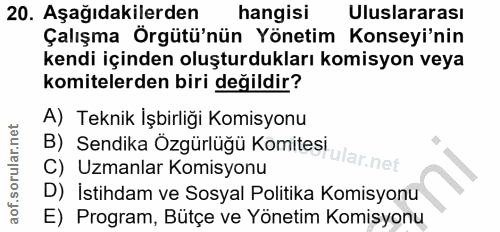 20. soru: Aşağıdakilerden hangisi Uluslararası Çalışma Örgütü'nün Yönetim Konseyi'nin kendi içinden oluşturdukları komisyon vey…