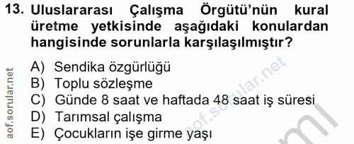 13. soru: Uluslararası Çalışma Örgütü'nün kural üretme yetkisinde aşağıdaki konulardan hangisinde sorunlarla karşılaşılmıştır?…