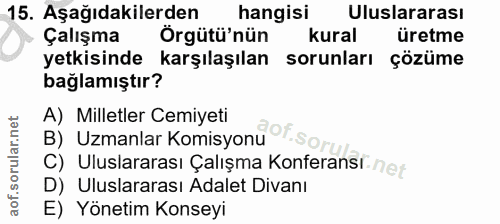 15. soru: Aşağıdakilerden hangisi Uluslararası Çalışma Örgütü'nün kural üretme yetkisinde karşılaşılan sorunları çözüme bağlamı…