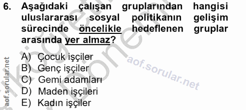 6. soru: Aşağıdaki çalışan gruplarından hangisi uluslararası sosyal politikanın gelişim sürecinde öncelikle hedeflenen gruplar…