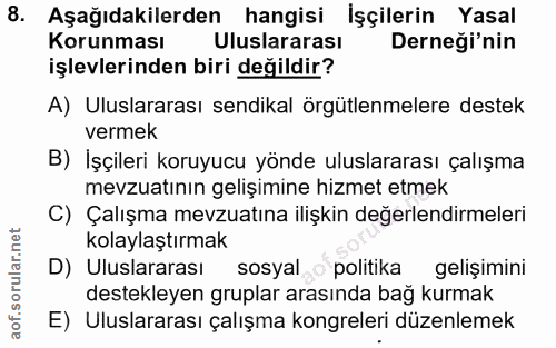 8. soru: Aşağıdakilerden hangisi İşçilerin Yasal Korunması Uluslararası Derneği'nin işlevlerinden biri değildir? A) Uluslarara…