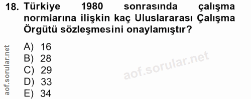 18. soru: Türkiye 1980 sonrasında çalışma normlarına ilişkin kaç Uluslararası Çalışma Örgütü sözleşmesini onaylamıştır? A) 16 2…