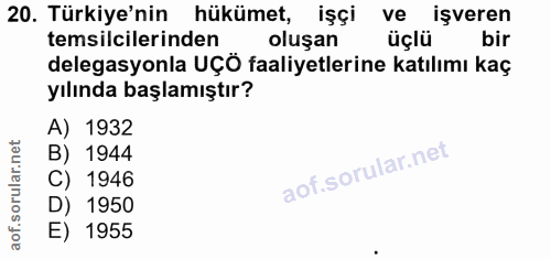 20. soru: Türkiye'nin hükümet, işçi ve işveren temsilcilerinden oluşan üçlü bir delegasyonla UÇÖ faaliyetlerine katılımı kaç yı…