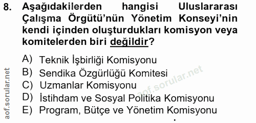8. soru: Aşağıdakilerden hangisi Uluslararası Çalışma Örgütü'nün Yönetim Konseyi'nin kendi içinden oluşturdukları komisyon vey…