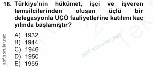 18. soru: Türkiye'nin hükümet, işçi ve işveren temsilcilerinden oluşan üçlü bir delegasyonla UÇÖ faaliyetlerine katılımı kaç yı…