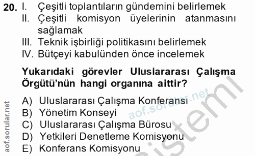20. soru: I. Çeşitli toplantıların gündemini belirlemek II. Çeşitli komisyon üyelerinin atanmasını sağlamak III. Teknik işbirli…