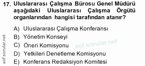 17. soru: Uluslararası Çalışma Bürosu Genel Müdürü aşağıdaki Uluslararası Çalışma Örgütü organlarından hangisi tarafindan atanı…