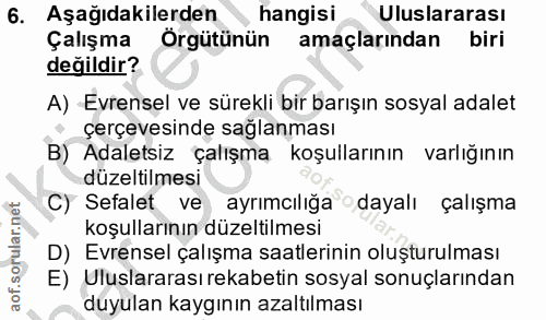 6. soru: Aşağıdakilerden hangisi Uluslararası Çalışma Örgütünün amaçlarından biri değildir? A) Evrensel ve sürekli bir barışın…