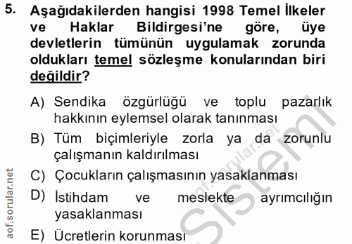 5. soru: Aşağıdakilerden hangisi 1998 Temel İlkeler ve Haklar Bildirgesi'ne göre, üye devletlerin tümünün uygulamak zorunda ol…
