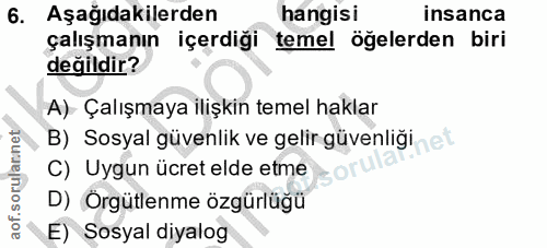 6. soru: Aşağıdakilerden hangisi insanca çalışmanın içerdiği temel öğelerden biri değildir? A) Çalışmaya ilişkin temel haklar…