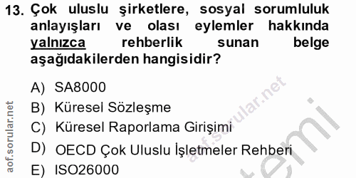 13. soru: Çok uluslu şirketlere, sosyal sorumluluk anlayışları ve olası eylemler hakkında yalnızca rehberlik sunan belge aşağıd…