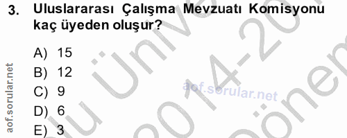3. soru: Uluslararası Çalışma Mevzuatı Komisyonu kaç üyeden oluşur? A) 15 B) 12 C) 9 got.sb rular.net l D) 6 E) 3