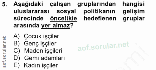 5. soru: Aşağıdaki çalışan gruplarindan hangisi uluslararası sosyal politikanın gelişim sürecinde öncelikle hedeflenen gruplar…