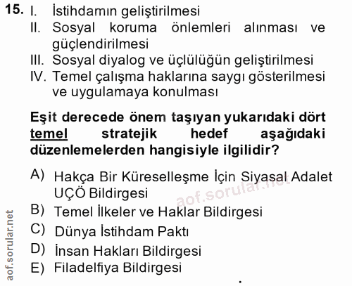15. soru: I. İstihdamın geliştirilmesi Il. Sosyal koruma önlemleri alınması ve güçlendirilmesi III. Sosyal diyalog ve üçlülüğün…