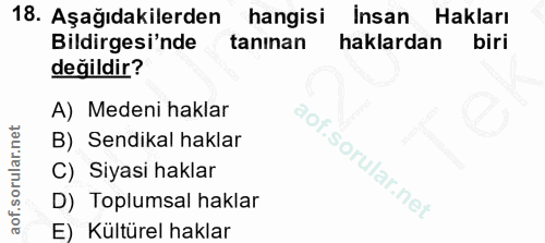 18. soru: Aşağıdakilerden hangisi İnsan Hakları Bildirgesi'nde tanınan haklardan biri değildir? A) Medeni haklar B) Sendikal ha…