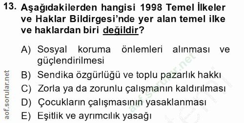 13. soru: Aşağıdakilerden hangisi 1998 Temel İlkeler ve Haklar Bildirgesi'nde yer alan temel ilke ve haklardan biri değildir? A…