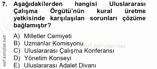 7. soru: Aşağıdakilerden hangisi Uluslararası Çalışma Örgütü'nün kural üretme yetkisinde karşılaşılan sorunları çözüme bağlamı…