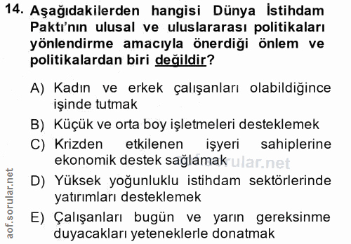 14. soru: Aşağıdakilerden hangisi Dünya İstihdam Paktı'nın ulusal ve uluslararası politikaları yönlendirme amacıyla önerdiği ön…