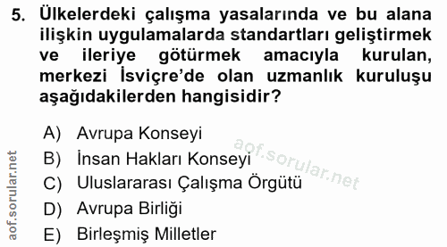 5. soru: Ulkelerdeki çalışma yasalarında ve bu alana ilişkin uygulamalarda standartları geliştirmek ve ileriye götürmek amacıy…