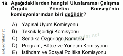 18. soru: Aşağıdakilerden hangisi Uluslararası Çalışma Örgütü Yönetim Konseyi'nin komisyonlarından biri değildir? A) Yapısal Uy…