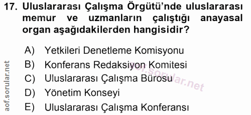 17. soru: Uluslararası Çalışma Örgütü'nde uluslararası memur ve uzmanların çalıştığı anayasal organ aşağıdakilerden hangisidir?…