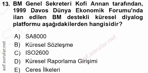 13. soru: BM Genel Sekreteri Kofi Annan tarafından, 1999 Davos Dünya Ekonomik Forumu'nda ilan edilen BM destekli küresel diyalo…