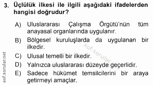 3. soru: Uçlülük ilkesi ile ilgili aşağıdaki ifadelerden hangisi doğrudur? A) Uluslararası Çalışma Örgütü'nün tüm anayasal org…