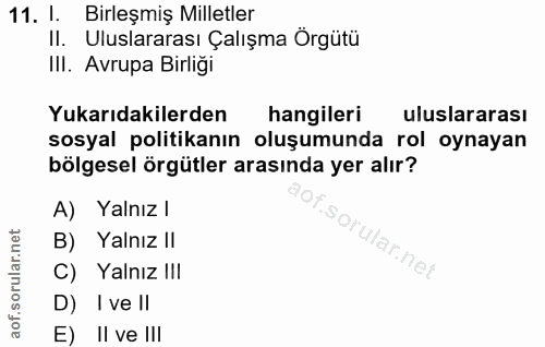 11. soru: I. Birleşmiş Milletler II. Uluslararası Çalışma Örgütü III. Avrupa Birliği Yukarıdakilerden hangileri uluslararası so…