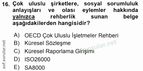 16. soru: Çok uluslu şirketlere, sosyal sorumluluk anlayışları ve olası eylemler hakkında yalnızca rehberlik sunan belge aşağıd…