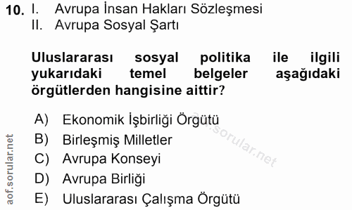 10. soru: 1. Avrupa insan Hakları Sözleşmesi II. Avrupa Sosyal Şartı Uluslararası sosyal politika ile ilgili yukarıdaki temel b…
