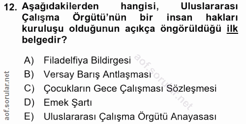 12. soru: Aşağıdakilerden hangisi, Uluslararası Çalışma Örgütü'nün bir insan hakları kuruluşu olduğunun açıkça öngörüldüğü ilk…