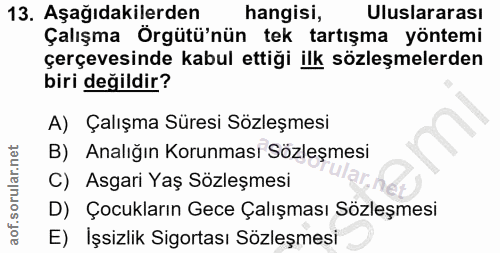 13. soru: Aşağıdakilerden hangisi, Uluslararası Çalışma Örgütü'nün tek tartışma yöntemi çerçevesinde kabul ettiği ilk sözleşmel…