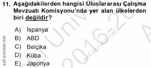 11. soru: Aşağıdakilerden hangisi Uluslararası Çalışma Mevzuatı Komisyonu'nda yer alan ülkelerden biri değildir? A) İspanya B)…