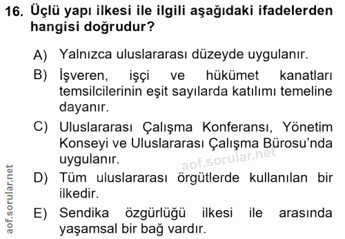 16. soru: Uçlü yapı ilkesi ile ilgili aşağıdaki ifadelerden hangisi doğrudur? A) Yalnızca uluslararası düzeyde uygulanır. B) İş…