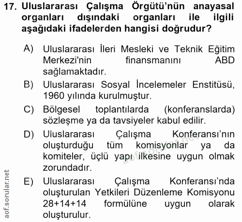 17. soru: Uluslararası Çalışma Örgütü'nün anayasal organları dışındaki organları ile ilgili aşağıdaki ifadelerden hangisi doğru…