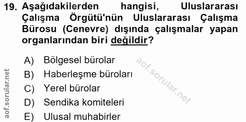 19. soru: Aşağıdakilerden hangisi, Uluslararası Çalışma Örgütü'nün Uluslararası Çalışma Bürosu (Cenevre) dışında çalışmalar yap…