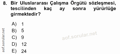 8. soru: Bir Uluslararası Çalışma Örgütü sözleşmesi, tescilinden kaç ay sonra yürürlüğe girmektedir? A) 1 B) 5 C) 9 D) 12 E) 24