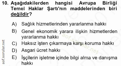 10. soru: Aşağıdakilerden hangisi Avrupa Birliği Temel Haklar Şartı'nın maddelerinden biri değildir? A) Sağlık hizmetlerinden y…